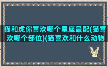 猫和虎你喜欢哪个星座最配(猫喜欢哪个部位)(猫喜欢和什么动物在一起)