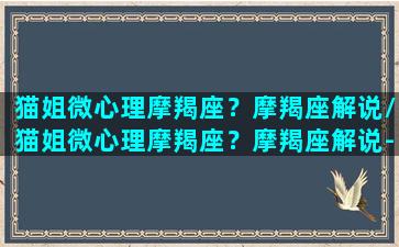 猫姐微心理摩羯座？摩羯座解说/猫姐微心理摩羯座？摩羯座解说-我的网站