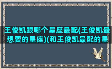 王俊凯跟哪个星座最配(王俊凯最想要的星座)(和王俊凯最配的星座)