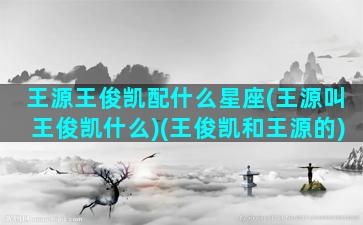 王源王俊凯配什么星座(王源叫王俊凯什么)(王俊凯和王源的)