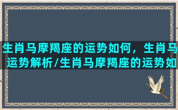 生肖马摩羯座的运势如何，生肖马运势解析/生肖马摩羯座的运势如何，生肖马运势解析-我的网站