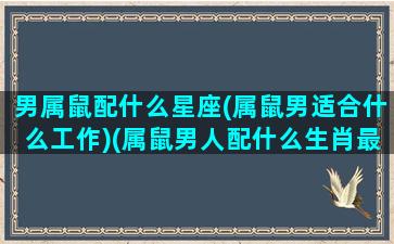 男属鼠配什么星座(属鼠男适合什么工作)(属鼠男人配什么生肖最好)