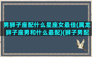 男狮子座配什么星座女最佳(属龙狮子座男和什么最配)(狮子男配什么星座最合适)