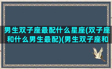 男生双子座最配什么星座(双子座和什么男生最配)(男生双子座和什么座最配对)