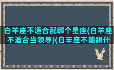 白羊座不适合配哪个星座(白羊座不适合当领导)(白羊座不能跟什么星座在一起)