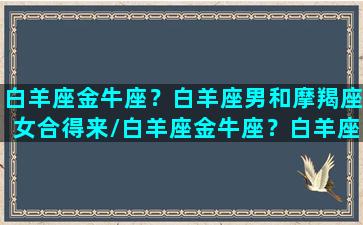 白羊座金牛座？白羊座男和摩羯座女合得来/白羊座金牛座？白羊座男和摩羯座女合得来-我的网站