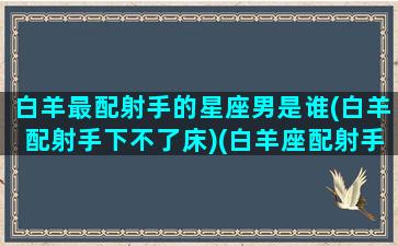 白羊最配射手的星座男是谁(白羊配射手下不了床)(白羊座配射手座合适吗)