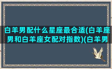 白羊男配什么星座最合适(白羊座男和白羊座女配对指数)(白羊男和哪个星座女孩最配)