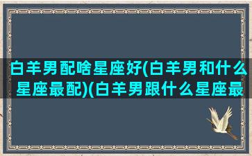 白羊男配啥星座好(白羊男和什么星座最配)(白羊男跟什么星座最配对指数)