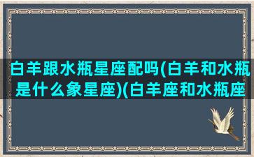 白羊跟水瓶星座配吗(白羊和水瓶是什么象星座)(白羊座和水瓶座般配吗)