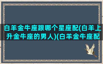 白羊金牛座跟哪个星座配(白羊上升金牛座的男人)(白羊金牛座配吗)