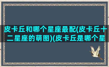 皮卡丘和哪个星座最配(皮卡丘十二星座的萌图)(皮卡丘是哪个星座的)