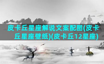 皮卡丘星座解说文案配图(皮卡丘星座壁纸)(皮卡丘12星座)