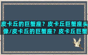 皮卡丘的巨蟹座？皮卡丘巨蟹座头像/皮卡丘的巨蟹座？皮卡丘巨蟹座头像-我的网站