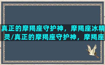 真正的摩羯座守护神，摩羯座冰精灵/真正的摩羯座守护神，摩羯座冰精灵-我的网站