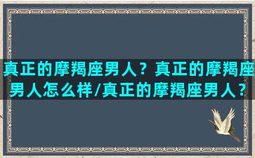 真正的摩羯座男人？真正的摩羯座男人怎么样/真正的摩羯座男人？真正的摩羯座男人怎么样-我的网站