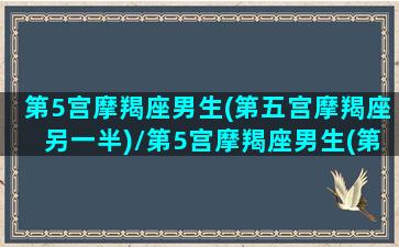 第5宫摩羯座男生(第五宫摩羯座另一半)/第5宫摩羯座男生(第五宫摩羯座另一半)-我的网站