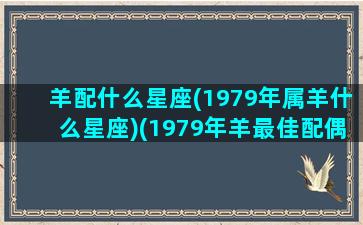 羊配什么星座(1979年属羊什么星座)(1979年羊最佳配偶)