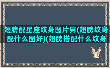 翅膀配星座纹身图片男(翅膀纹身配什么图好)(翅膀搭配什么纹身)