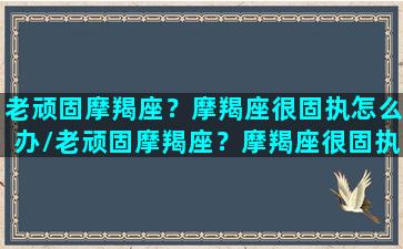 老顽固摩羯座？摩羯座很固执怎么办/老顽固摩羯座？摩羯座很固执怎么办-我的网站