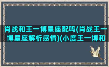 肖战和王一博星座配吗(肖战王一博星座解析感情)(小度王一博和肖战是什么星座)