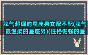 脾气超倔的星座男女配不配(脾气最温柔的星座男)(性格倔强的星座男)