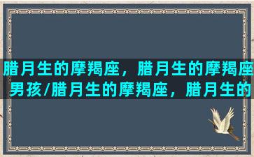 腊月生的摩羯座，腊月生的摩羯座男孩/腊月生的摩羯座，腊月生的摩羯座男孩-我的网站