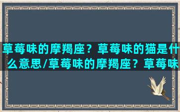 草莓味的摩羯座？草莓味的猫是什么意思/草莓味的摩羯座？草莓味的猫是什么意思-我的网站