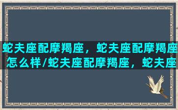 蛇夫座配摩羯座，蛇夫座配摩羯座怎么样/蛇夫座配摩羯座，蛇夫座配摩羯座怎么样-我的网站