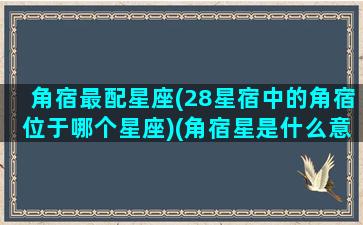 角宿最配星座(28星宿中的角宿位于哪个星座)(角宿星是什么意思)