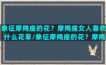 象征摩羯座的花？摩羯座女人喜欢什么花草/象征摩羯座的花？摩羯座女人喜欢什么花草-我的网站