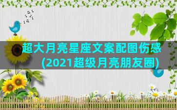 超大月亮星座文案配图伤感(2021超级月亮朋友圈)