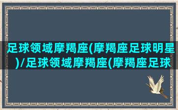 足球领域摩羯座(摩羯座足球明星)/足球领域摩羯座(摩羯座足球明星)-我的网站