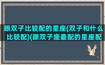 跟双子比较配的星座(双子和什么比较配)(跟双子座最配的星座配对)