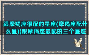 跟摩羯座很配的星座(摩羯座配什么星)(跟摩羯座最配的三个星座)