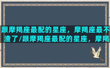 跟摩羯座最配的星座，摩羯座最不渣了/跟摩羯座最配的星座，摩羯座最不渣了-我的网站