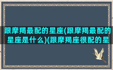 跟摩羯最配的星座(跟摩羯最配的星座是什么)(跟摩羯座很配的星座)