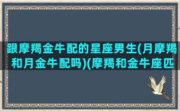 跟摩羯金牛配的星座男生(月摩羯和月金牛配吗)(摩羯和金牛座匹配程度是多少)