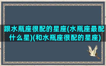 跟水瓶座很配的星座(水瓶座最配什么星)(和水瓶座很配的星座)