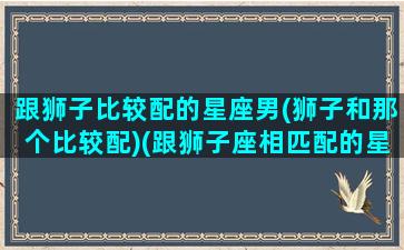 跟狮子比较配的星座男(狮子和那个比较配)(跟狮子座相匹配的星座)