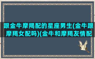 跟金牛摩羯配的星座男生(金牛跟摩羯女配吗)(金牛和摩羯友情配对指数)