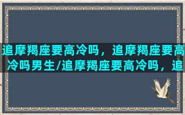 追摩羯座要高冷吗，追摩羯座要高冷吗男生/追摩羯座要高冷吗，追摩羯座要高冷吗男生-我的网站