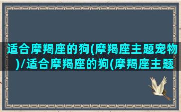 适合摩羯座的狗(摩羯座主题宠物)/适合摩羯座的狗(摩羯座主题宠物)-我的网站