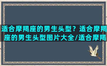 适合摩羯座的男生头型？适合摩羯座的男生头型图片大全/适合摩羯座的男生头型？适合摩羯座的男生头型图片大全-我的网站