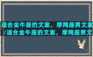 适合金牛座的文案，摩羯座男文案/适合金牛座的文案，摩羯座男文案-我的网站