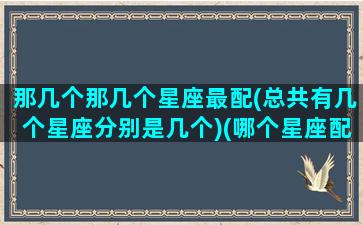 那几个那几个星座最配(总共有几个星座分别是几个)(哪个星座配对最多)