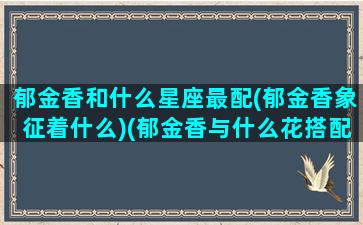 郁金香和什么星座最配(郁金香象征着什么)(郁金香与什么花搭配最好)