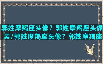 郭姓摩羯座头像？郭姓摩羯座头像男/郭姓摩羯座头像？郭姓摩羯座头像男-我的网站