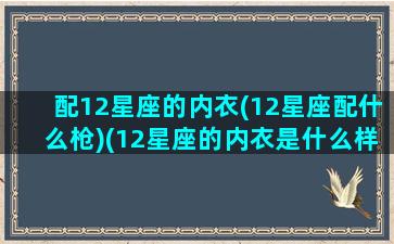 配12星座的内衣(12星座配什么枪)(12星座的内衣是什么样子)