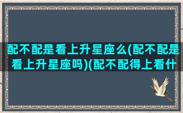 配不配是看上升星座么(配不配是看上升星座吗)(配不配得上看什么)